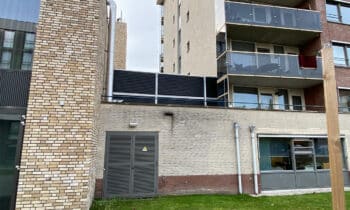 IMG 4419