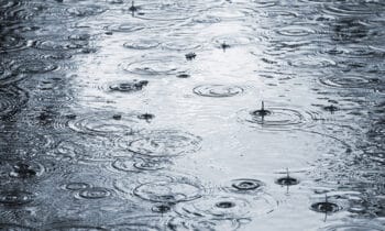 Regenwater
