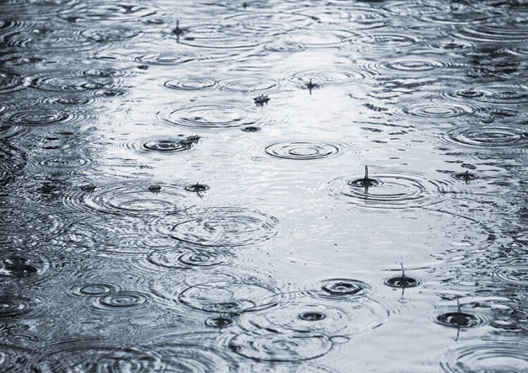 Regenwater