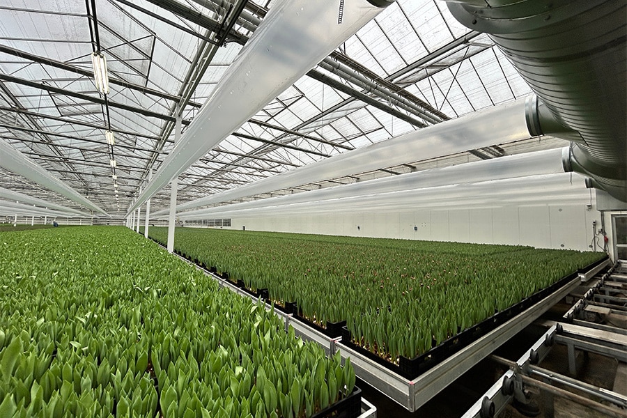 Ventilatietechnologie zoals in de praktijk  2
