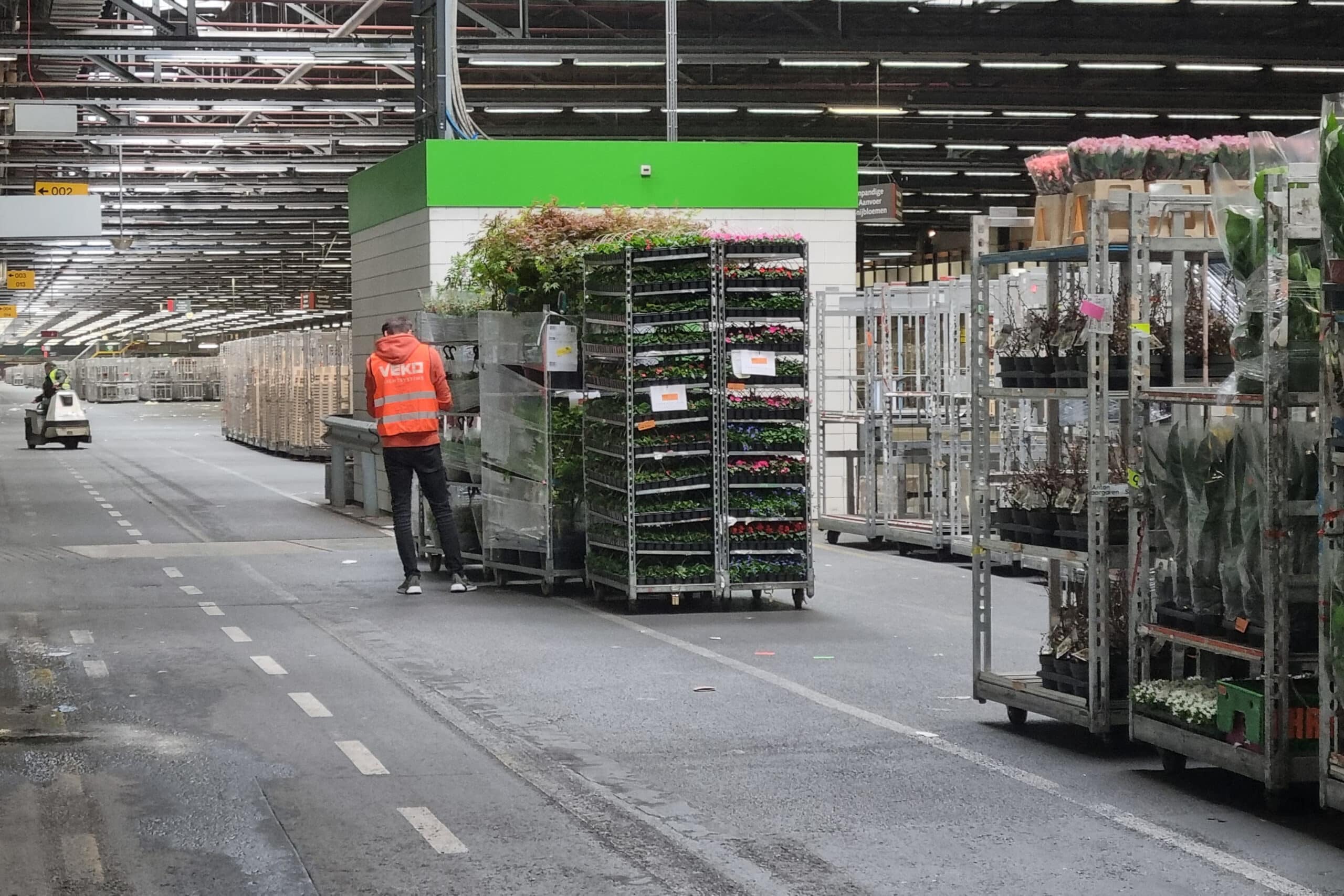 Royal FloraHolland verlengt samenwerking met Veko Lightsystems 5