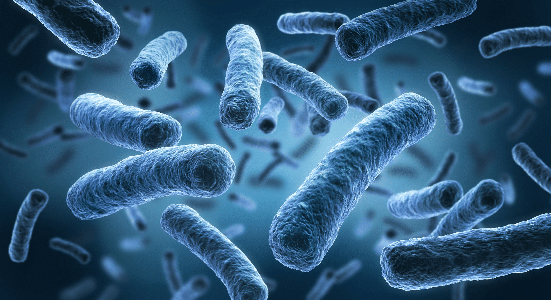 Legionella in Nederlandse installaties: tijd voor een nieuwe aanpak 1